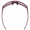SKYRYSE Burgundy Matt 1
